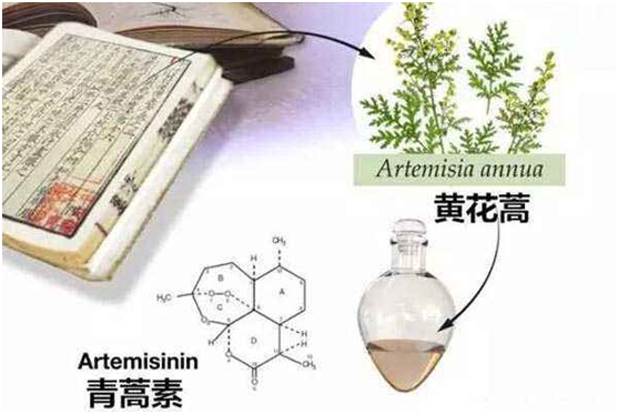 爱体育注册网(中国区)首页,：向中医药看齐，与世界共享中医药文化(图1)